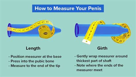 thick cock|Shown Actual Size: A Penis Shape & Size Lowdown